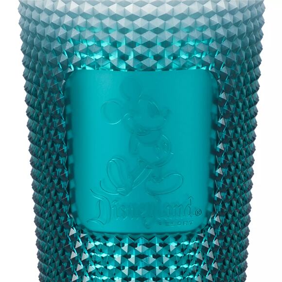 Disney Disneyland Starbucks Limited Edition Holiday Tumbler Candy Cane Straw NWT - Picture 1 of 8